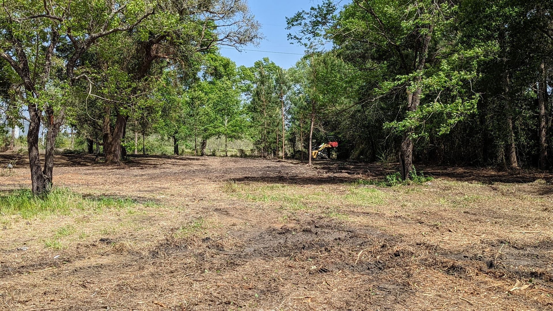 Wooded clearing with a dirt path, trees on both sides, and a small red tractor in the distance
