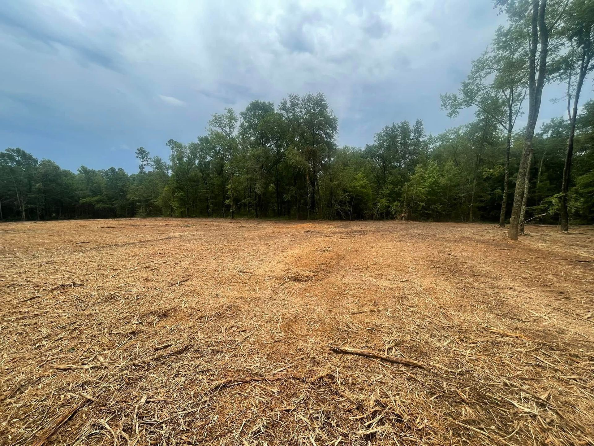 Cleared field with wood chips, bordered by trees under a cloudy sky