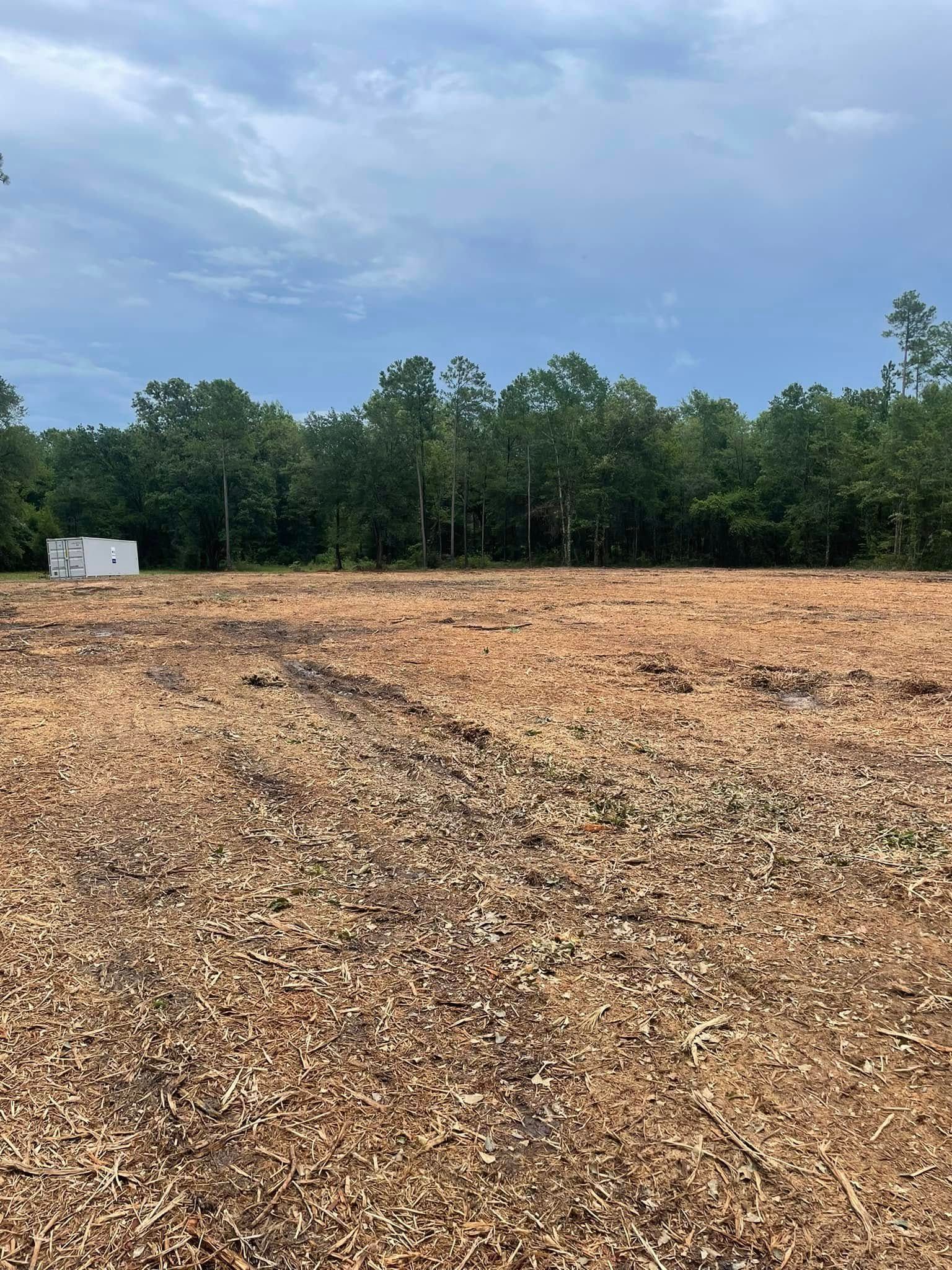 Cleared dirt lot bordered by trees under a cloudy blue sky