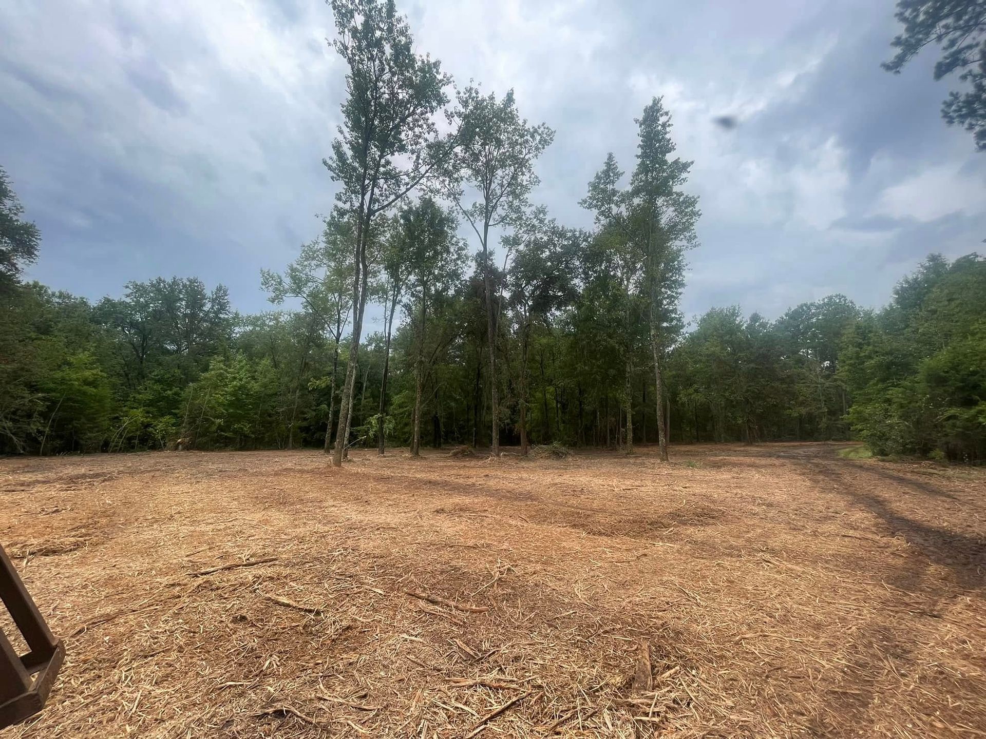 Cleared dirt lot with trees under a cloudy sky