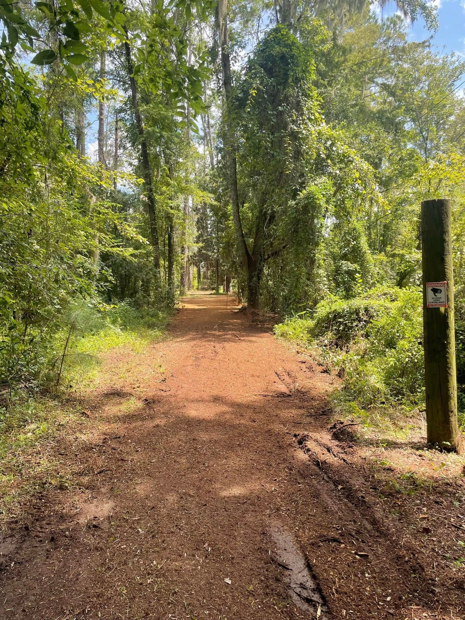 Wooded dirt path with sunlight filtering through tall green trees and a wooden post on the right