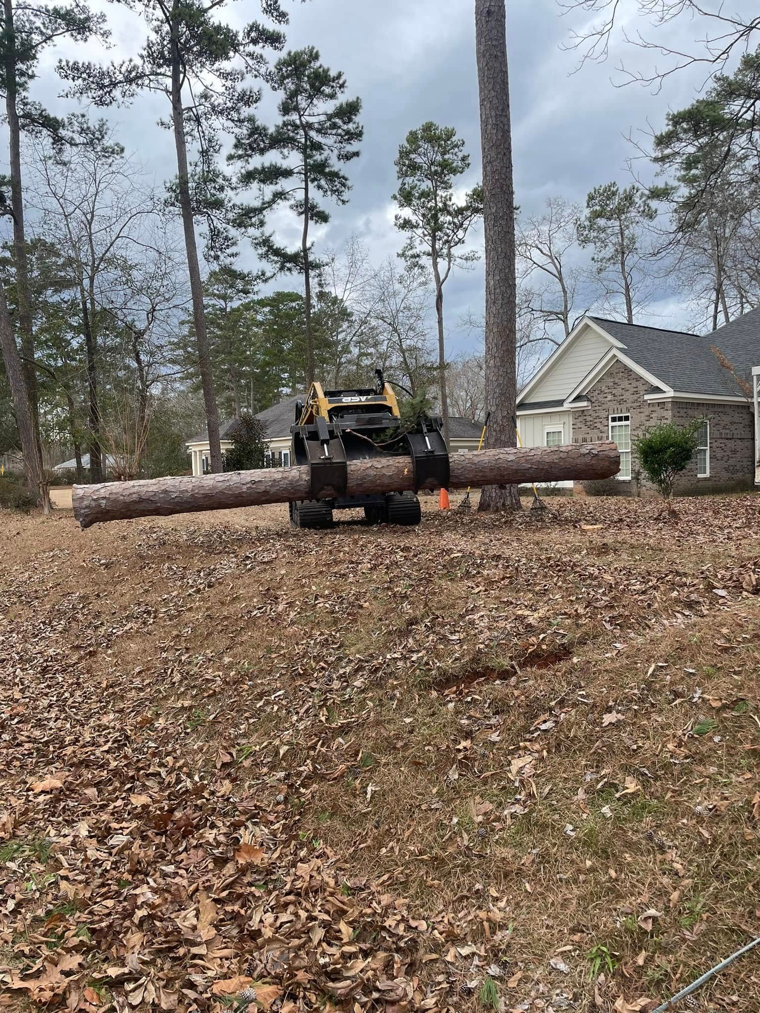 Loader moving a large log across a leaf-covered yard near a house and pine trees