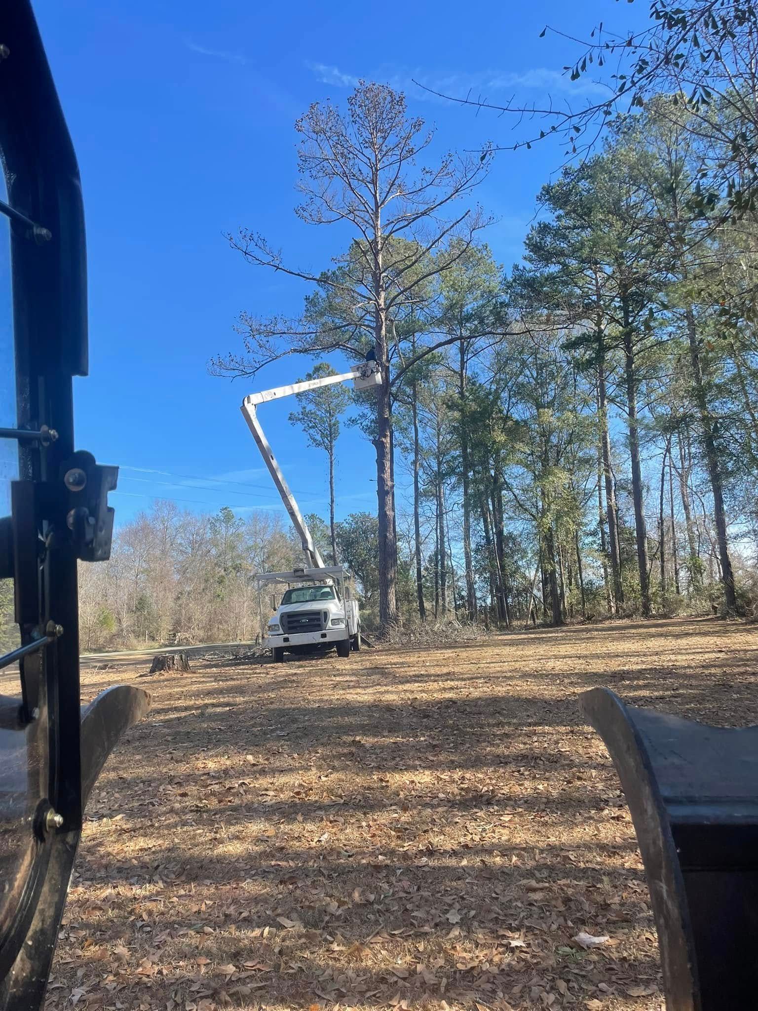 White utility truck with raised boom working among tall trees on a sunny wooded hillside.