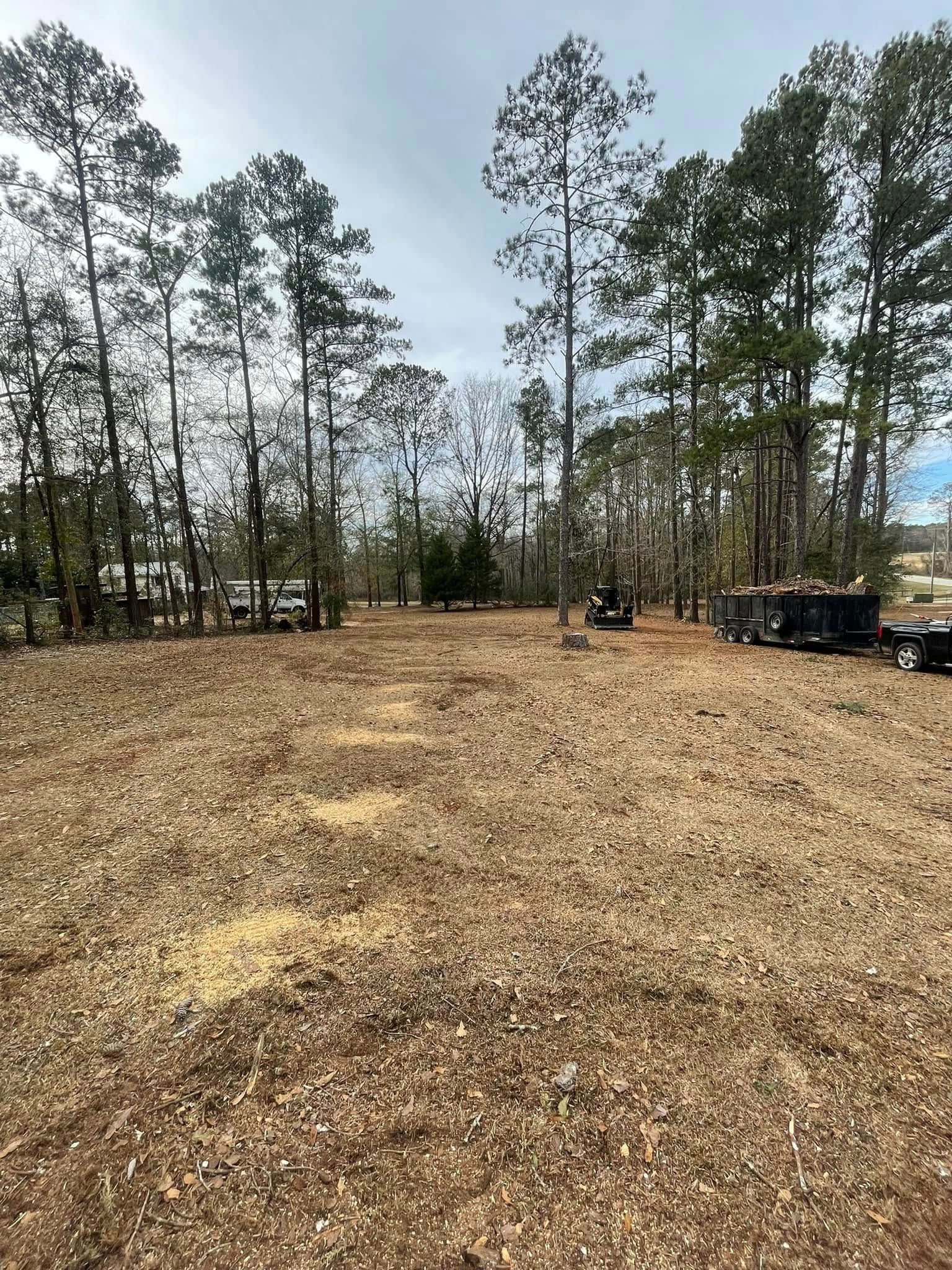 Cleared dirt lot bordered by tall pine trees, with a few vehicles parked on the right.