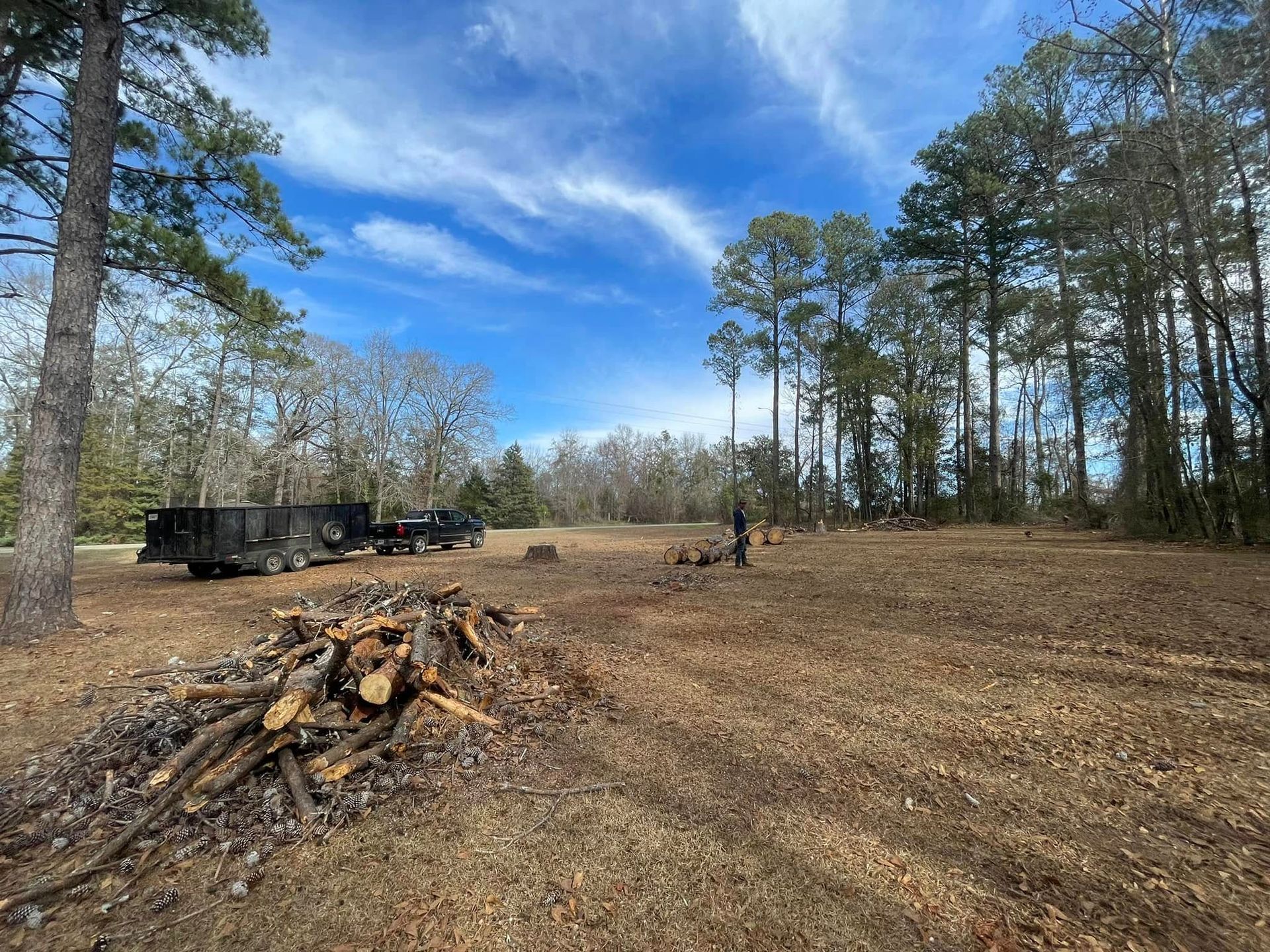 Wooded clearing with a brush pile, parked trailer, tall pines, and a blue sky with streaked clouds