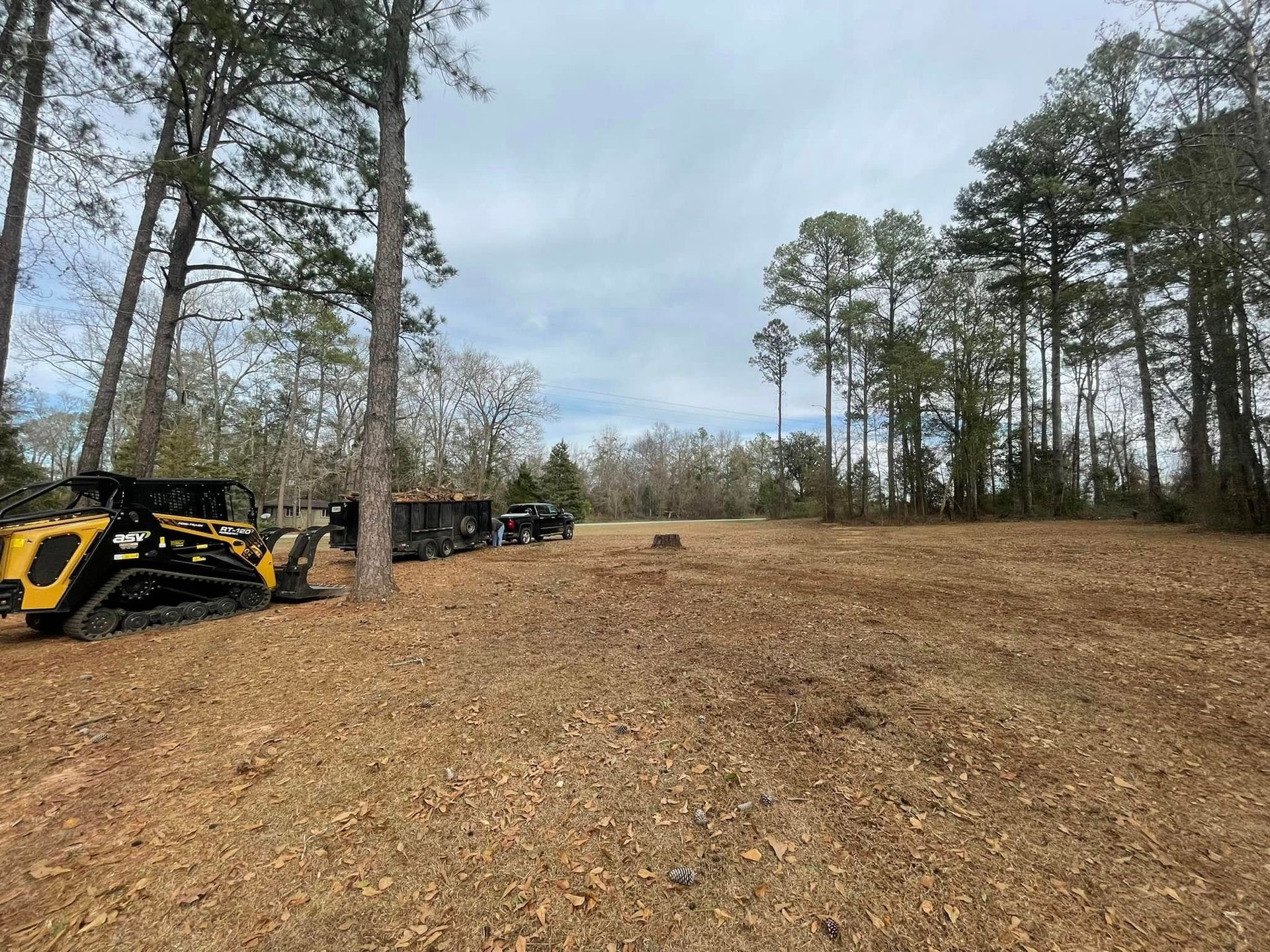 Wide clearing with fallen leaves, pine trees, and a yellow construction vehicle at the left edge.