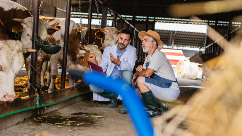 Entenda, com João Eustáquio De Almeida Junior, de que forma o cenário global influencia preços, produção e competitividade da pecuária brasileira.