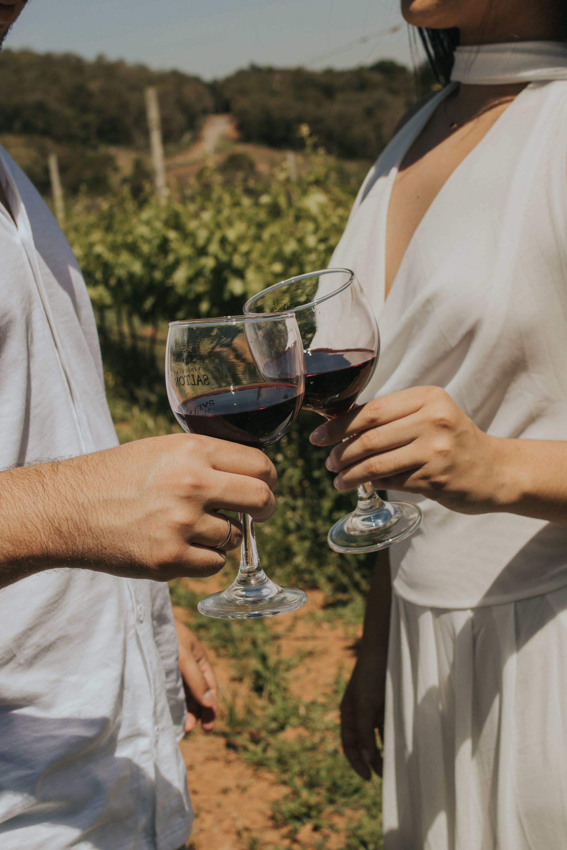 Two people toasting with red wine glasses outdoors in a vineyard