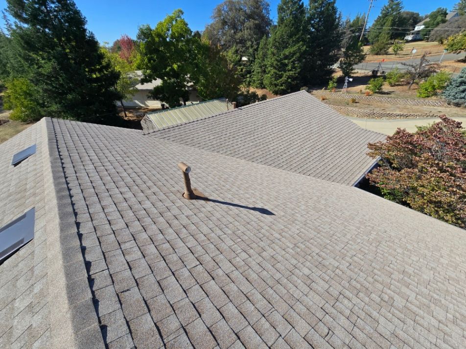 Residential roof with gray shingles, vents, and a chimney surrounded by trees in a sunny neighborhood
