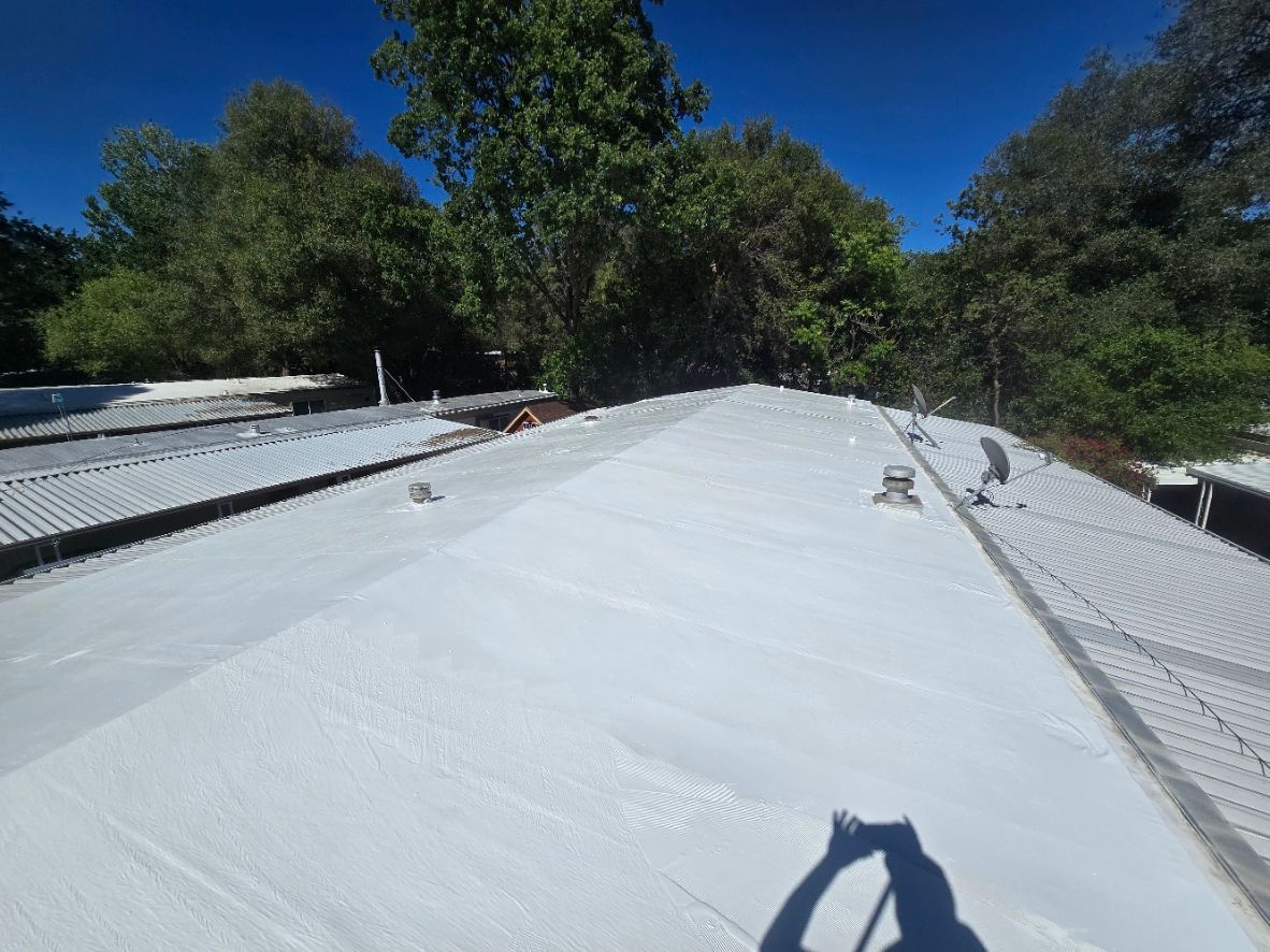 White roof under blue sky with trees in the background and a shadow at the bottom edge