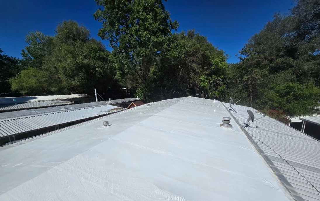 White rooftop with trees and blue sky in the background