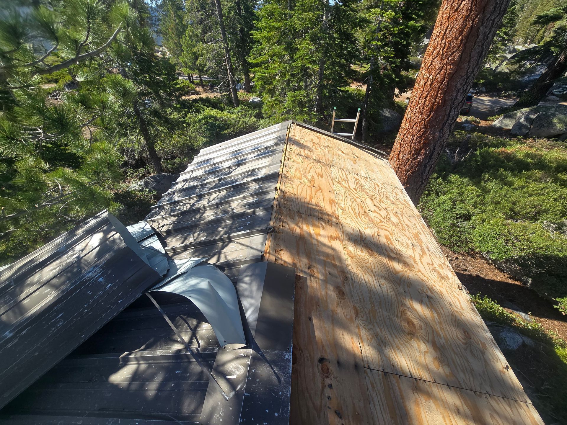 Rooftop under repair with shingles and plywood beside a tall tree in a wooded area