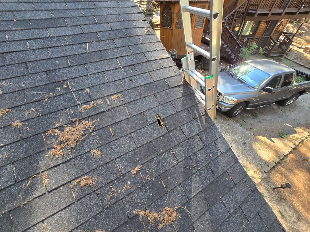 Roof shingles with fallen leaves beside a ladder and a blue car in a driveway below