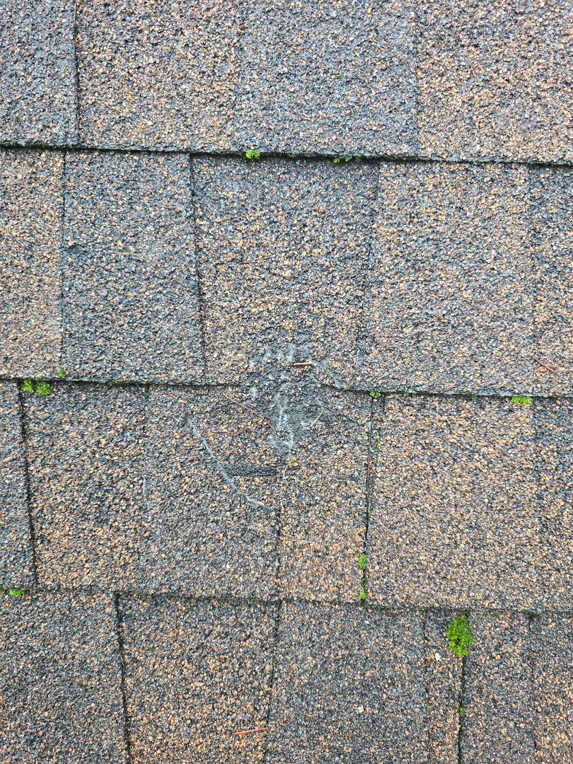 Gray stone pavement tiles with small green weeds growing between the cracks