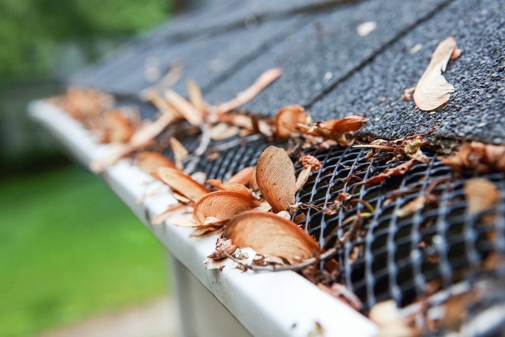A Close Up Of A Gutter Filled With Leaves On A Roof — Roof & Guttering Solutions In Saratoga, NSW
