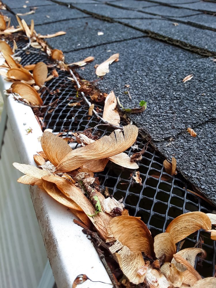 A Close Up Of A Gutter With Leaves On It — Roof & Guttering Solutions In Terrigal, NSW