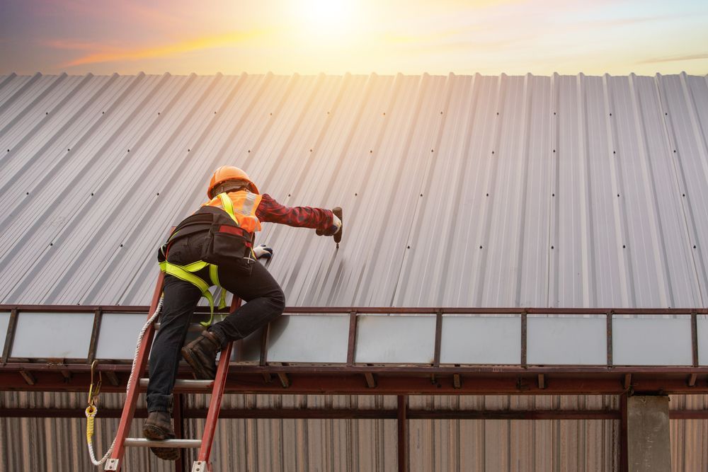 A Man Is Standing On A Ladder On Top Of A Metal Roof — Roof & Guttering Solutions In Terrigal, NSW