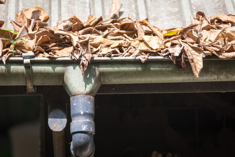 A Gutter Filled With Leaves And A Pipe — Roof & Guttering Solutions In Woy Woy, NSW