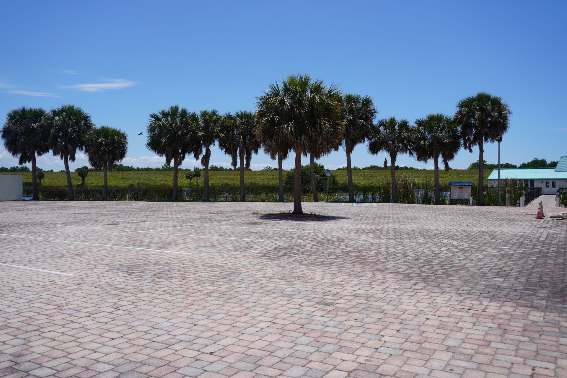 Empty stone plaza with palm trees and a grassy field under a clear blue sky