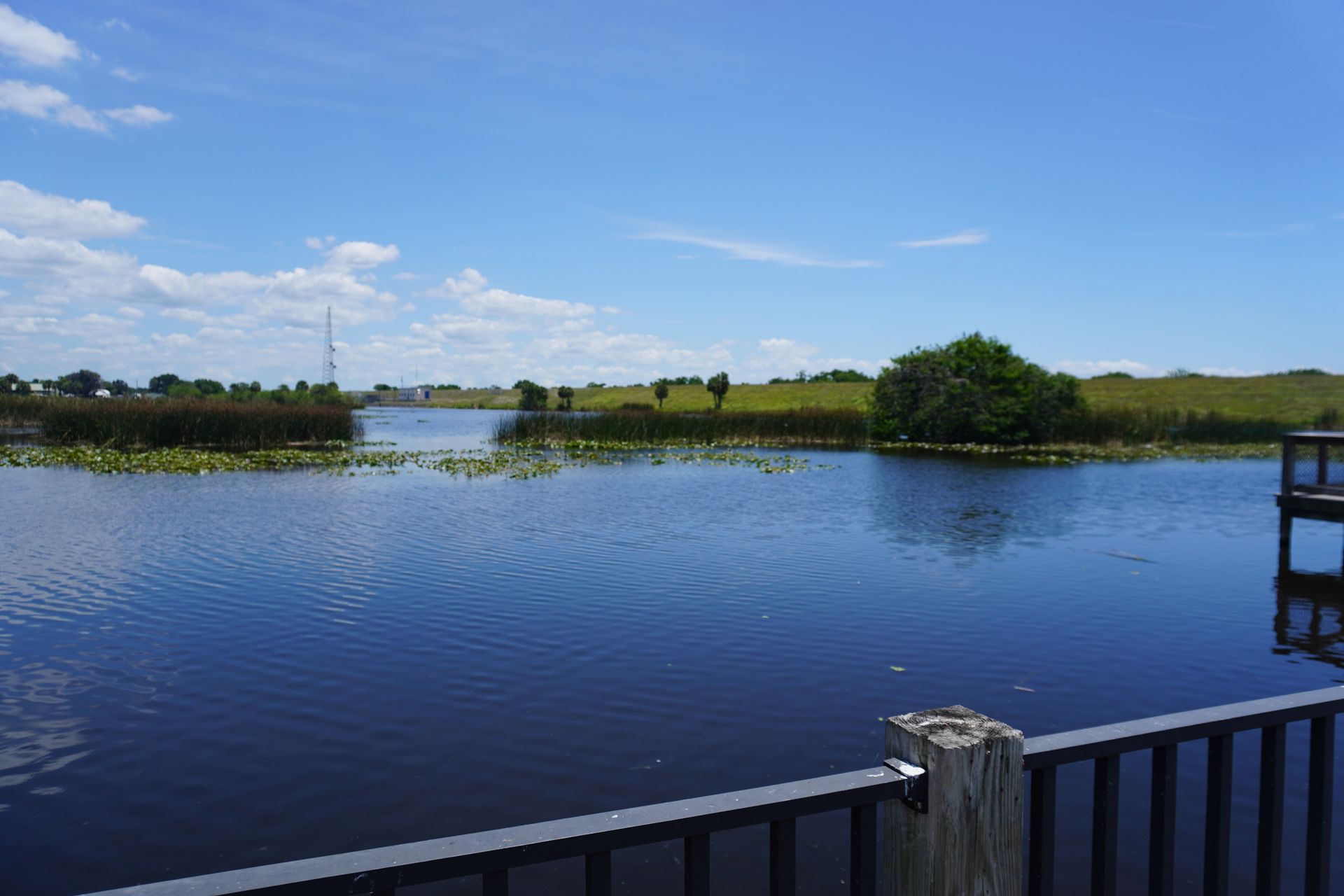 Blue lake with rippling water, grassy shore, and a clear sky, viewed from a deck railing