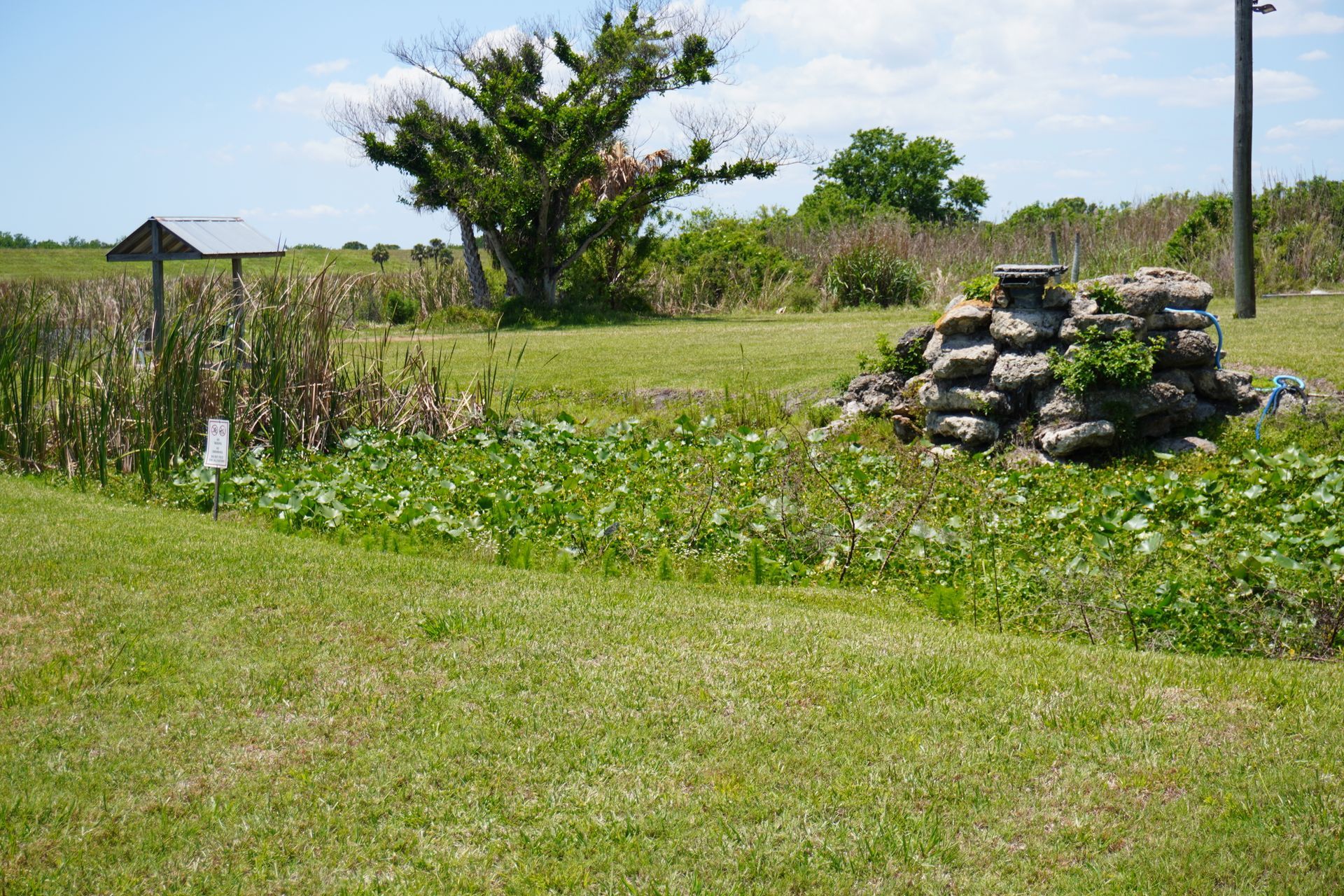 Grassy field with wildflowers, a stone pile, and trees under a bright sky