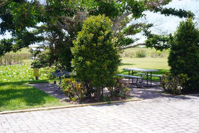 Shaded park area with trees, picnic tables, and paved walkway beside green grass