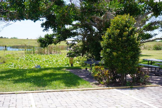 Shaded park with a large tree, green lawn, pond, and stone path beside picnic tables