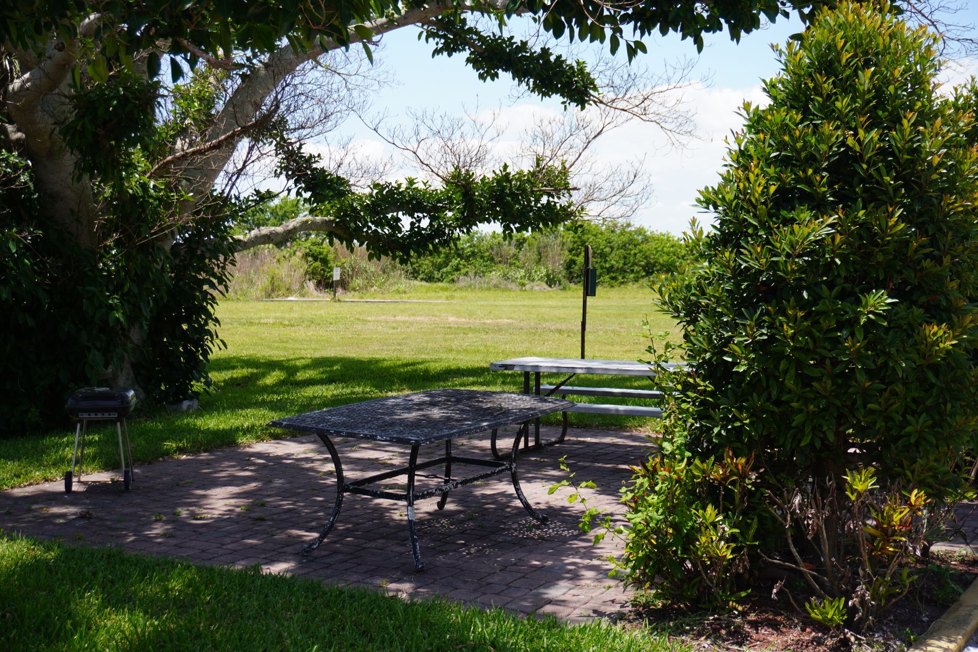 Shaded picnic tables under trees in a sunny park with open grassy field beyond