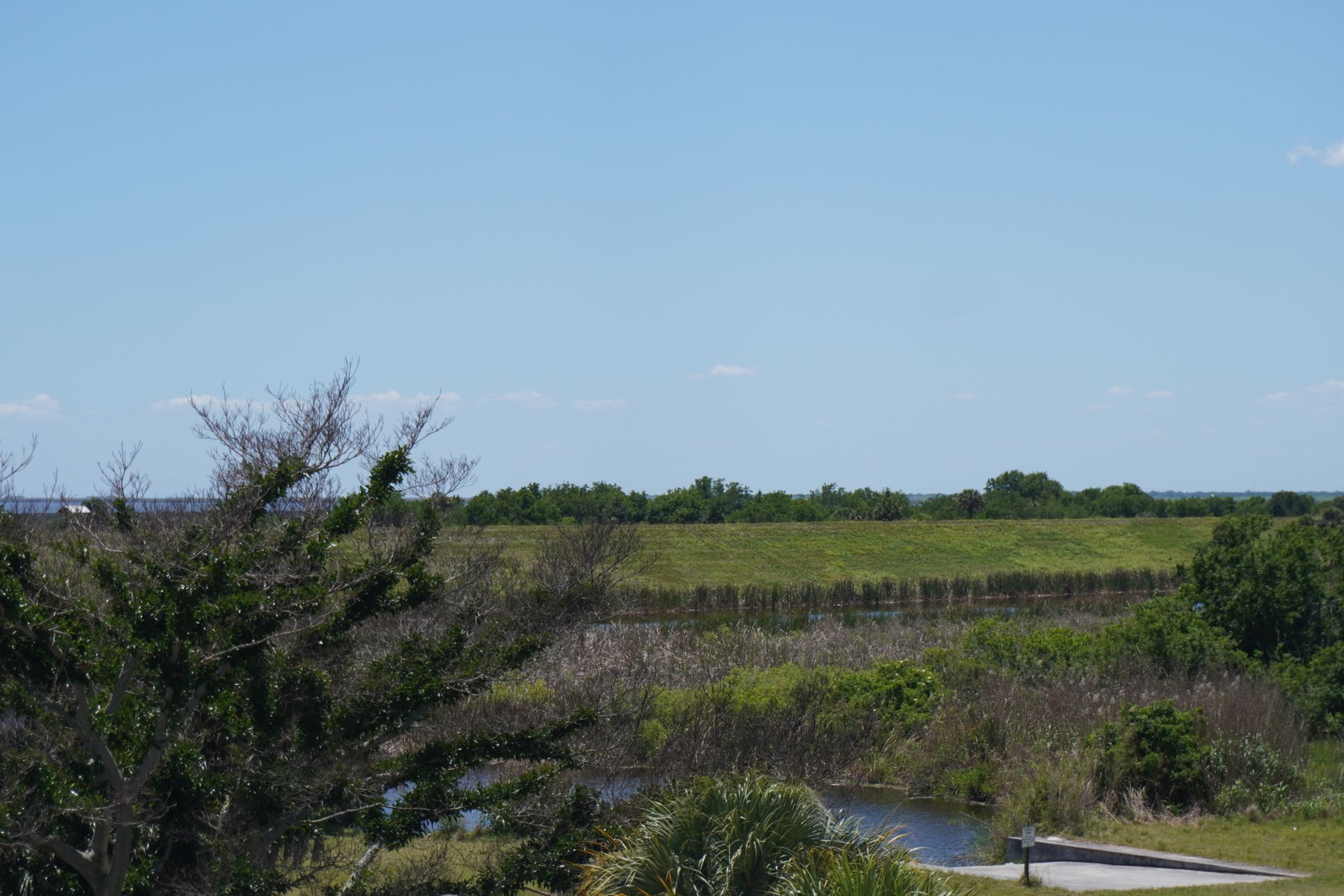 Grassy wetland under a clear blue sky, with shrubs and a winding path in the foreground