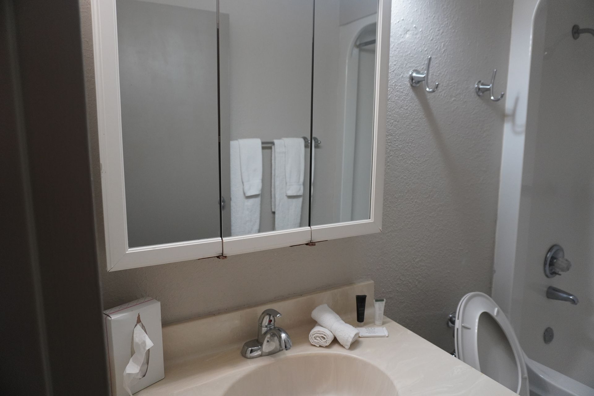 Bathroom vanity with sink, mirror, towels, and a hair dryer on the counter.