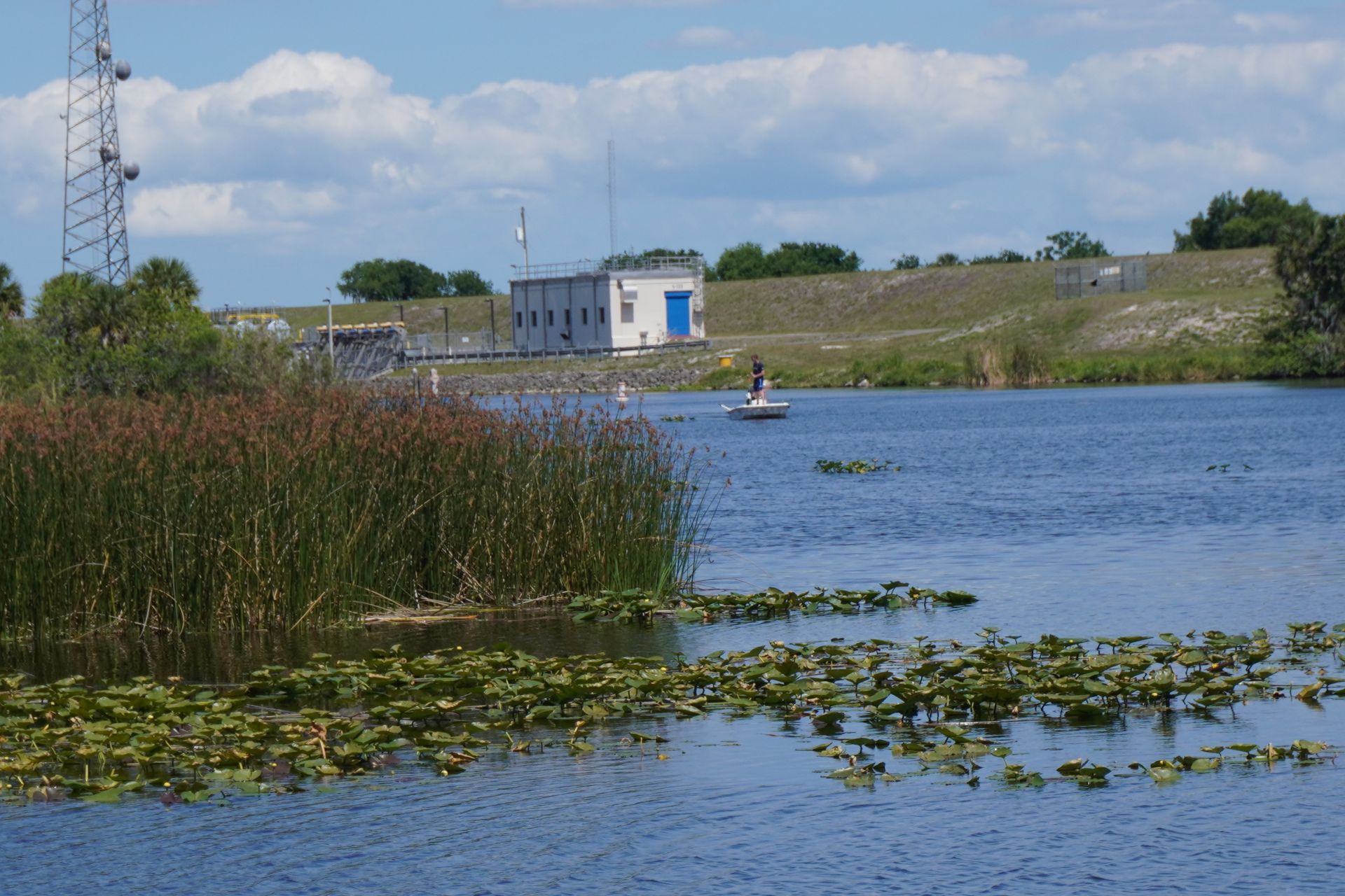 Lake with reeds and lily pads, a small white building on the far shore, and a tower under a clear sky.
