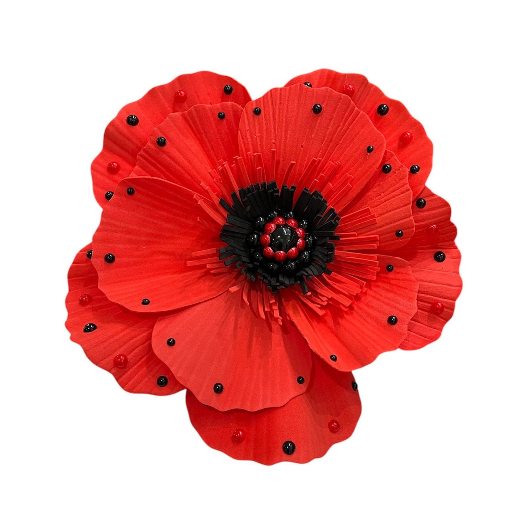 Red poppy flower with black center and small black accents on white background