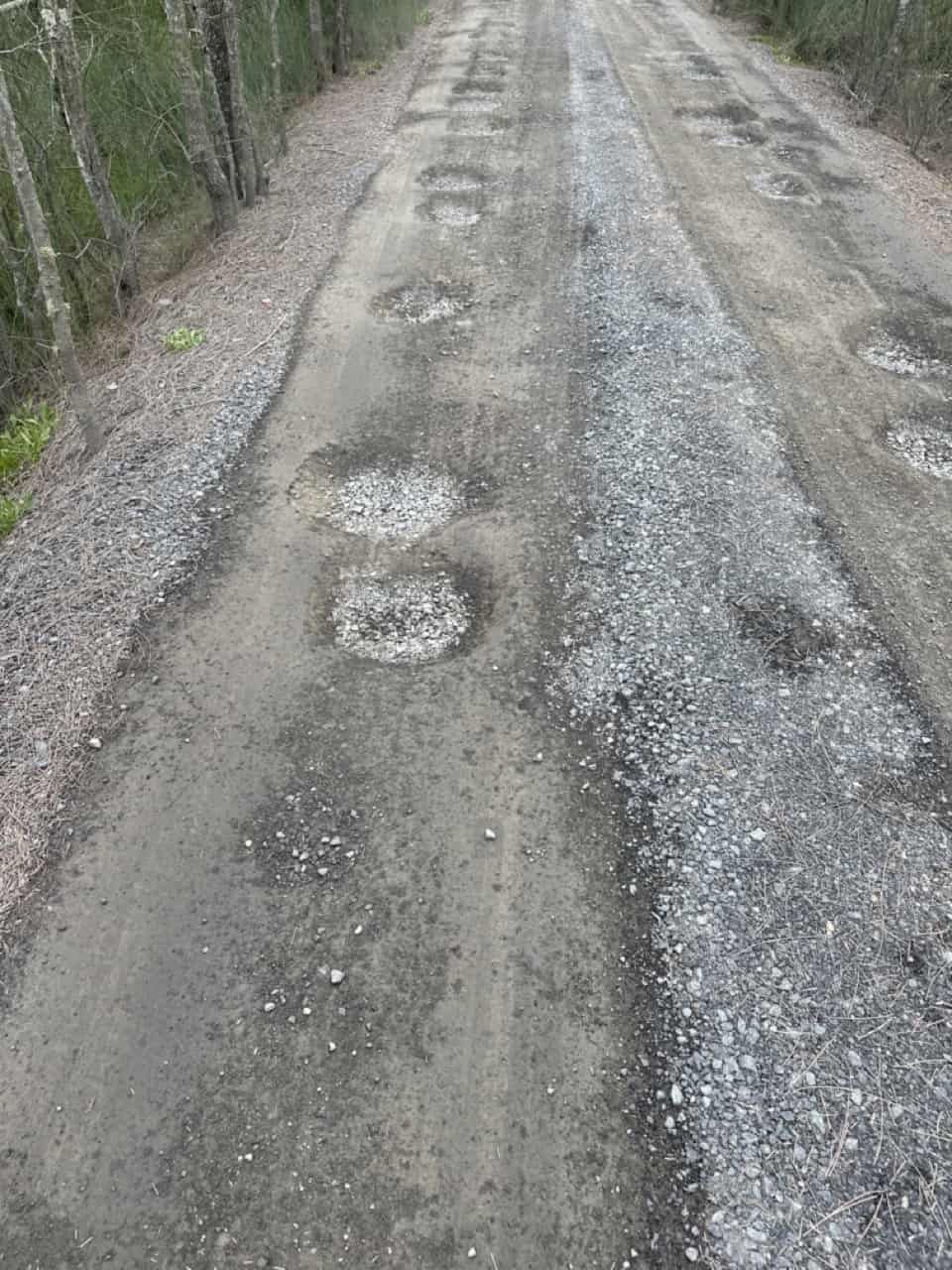 A Dirt Road With Holes In It Going Through A Forest — Sal's Excavations In Falls Creek, NSW