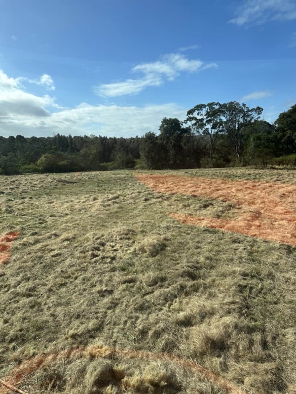 A Field Of Dry Grass Slashed On A Sunny Day — Sal's Excavations In Falls Creek, NSW