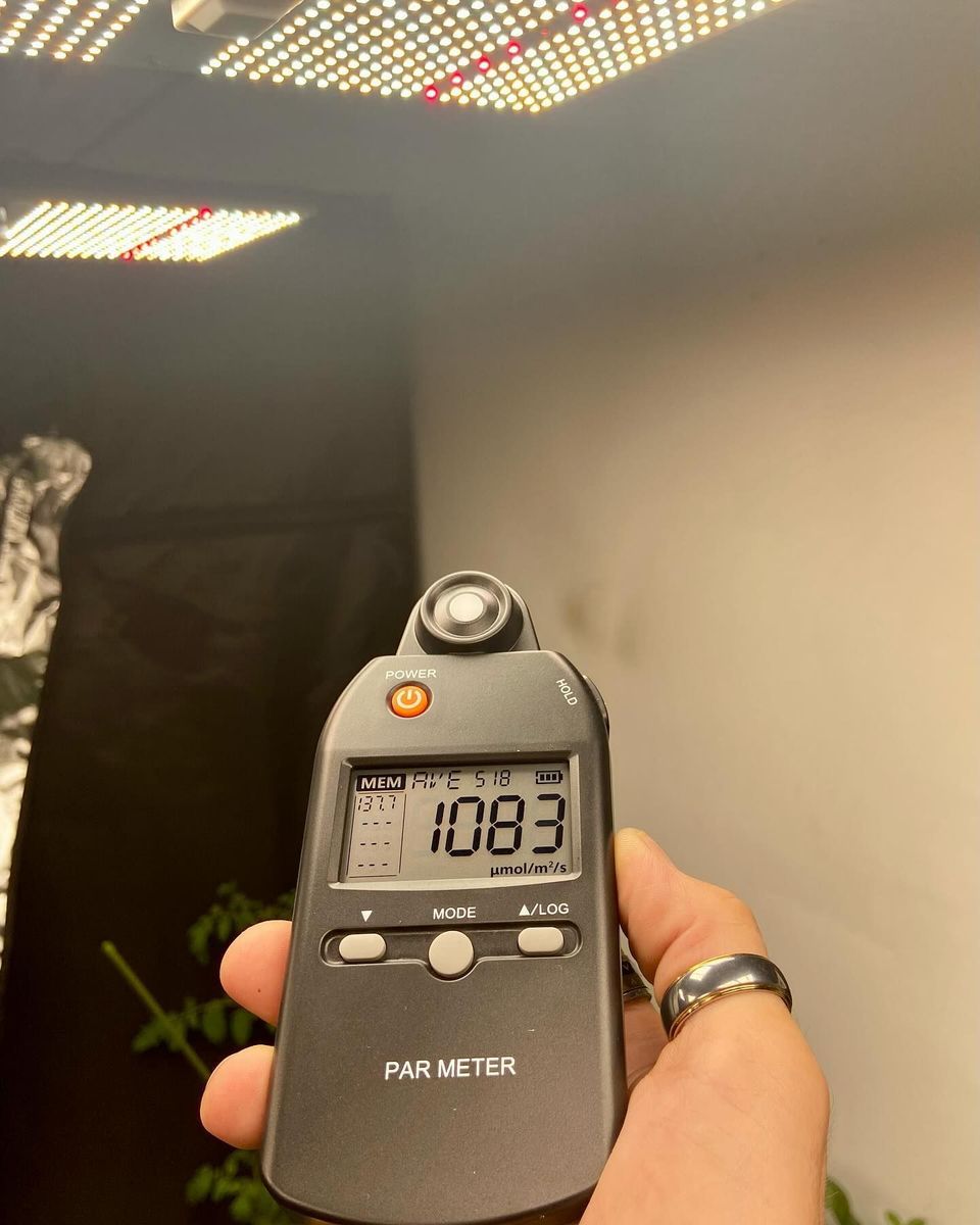 Hand Holding a Light Meter Measuring — Cairns Hydroponics In Bungalow, QLD