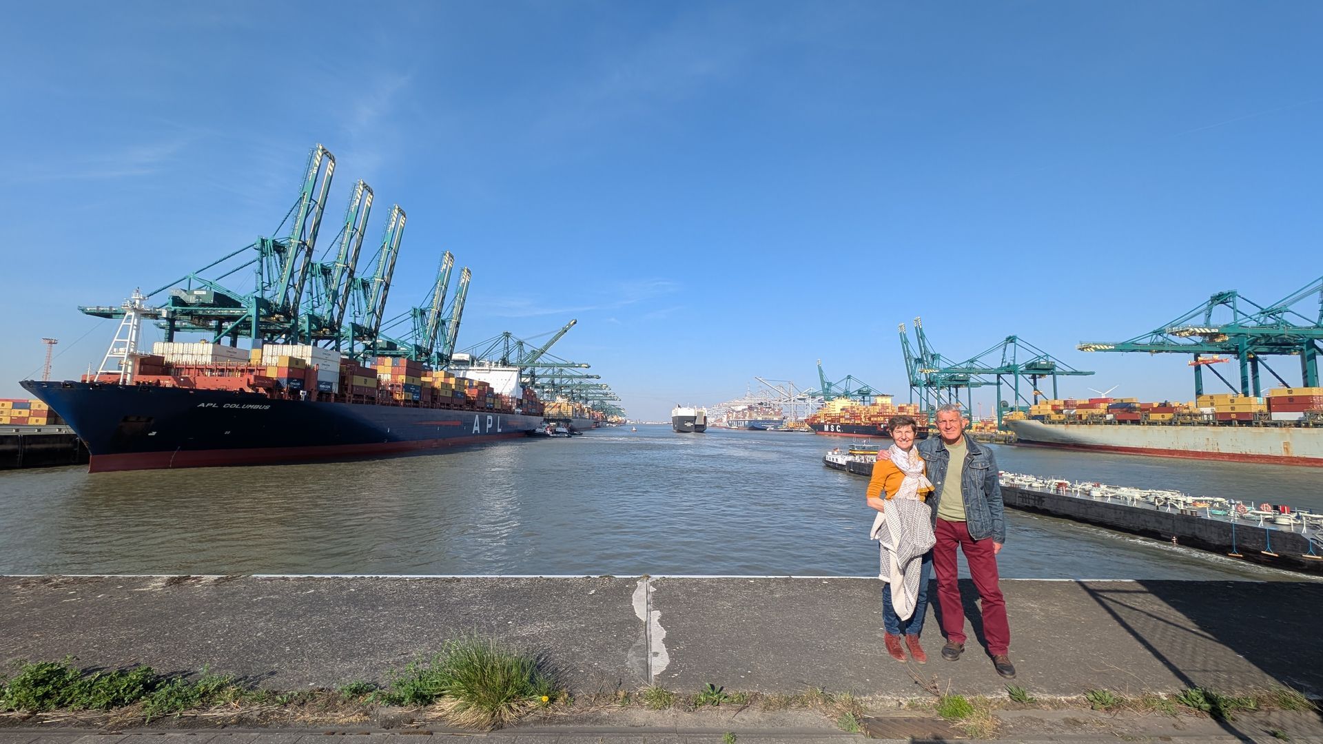 People posing by a harbor with cargo ships and cranes under a blue sky.