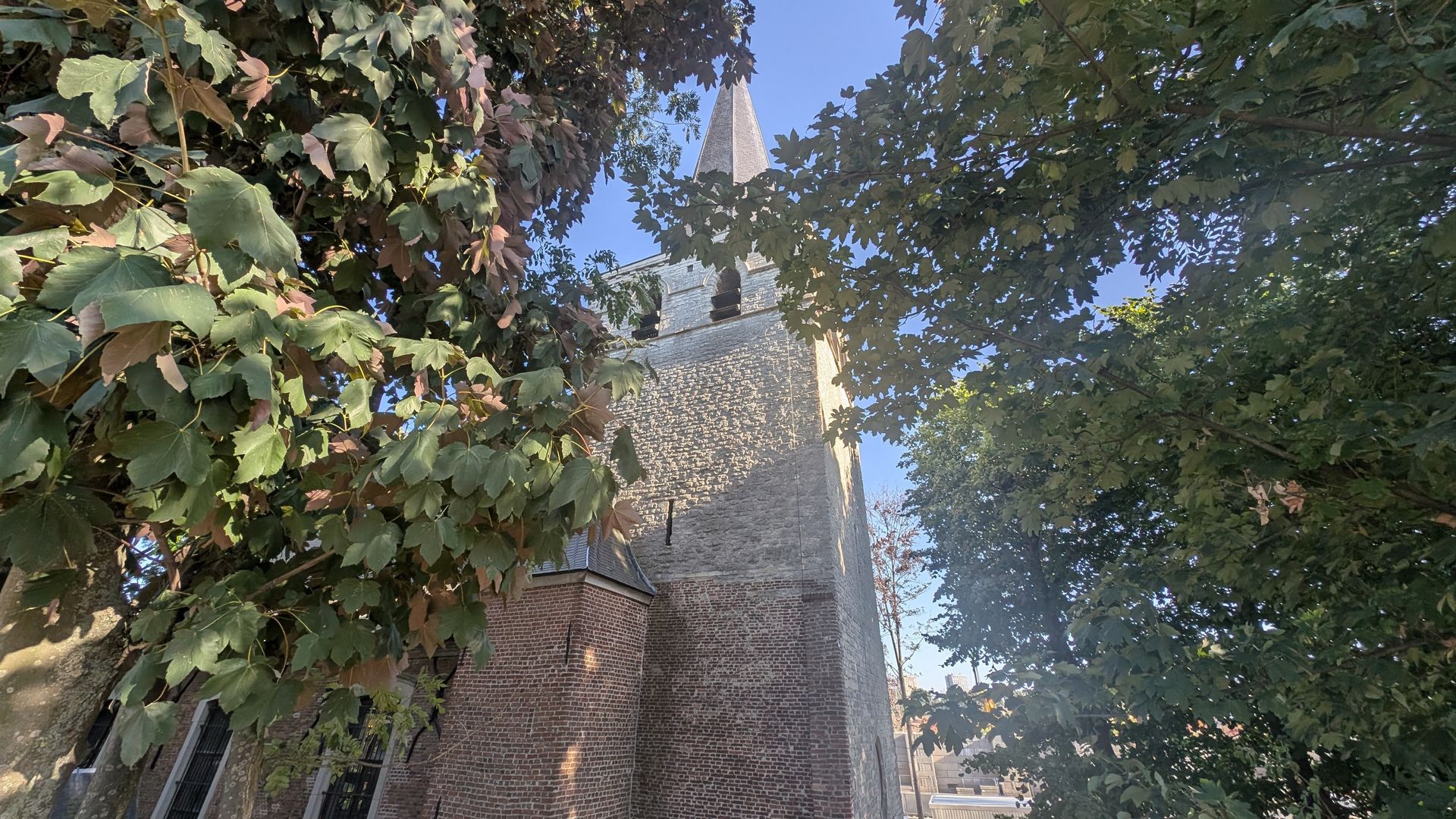Stone church tower partially obscured by green and brown foliage against a blue sky.