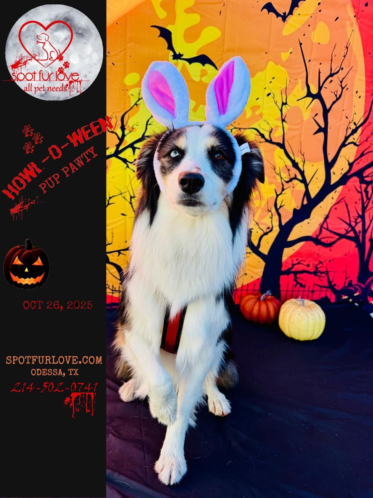 Dog with bunny ears at a Halloween party, with pumpkins and a spooky backdrop.