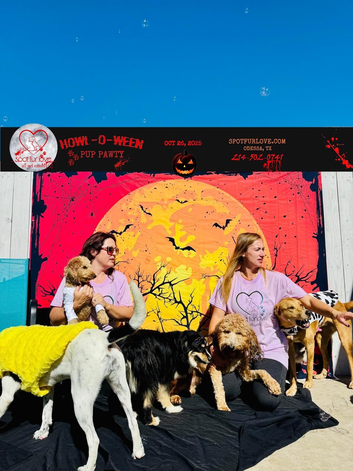 Two people with several dogs pose in front of a Halloween backdrop.