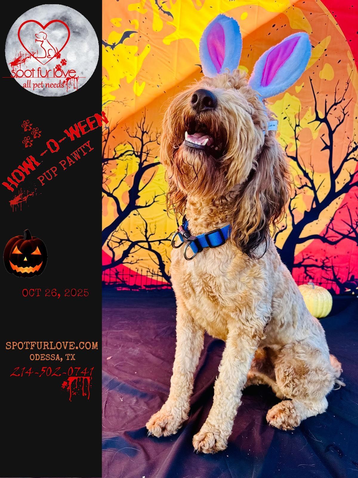 Dog in bunny ears at a Halloween party.  Orange, black and red backdrop. 