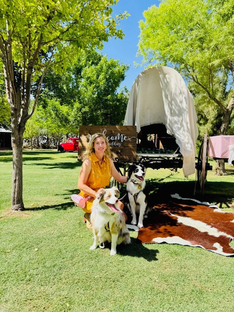 Two women and several dogs in a water park, one woman holding a fluffy dog, sunny day.