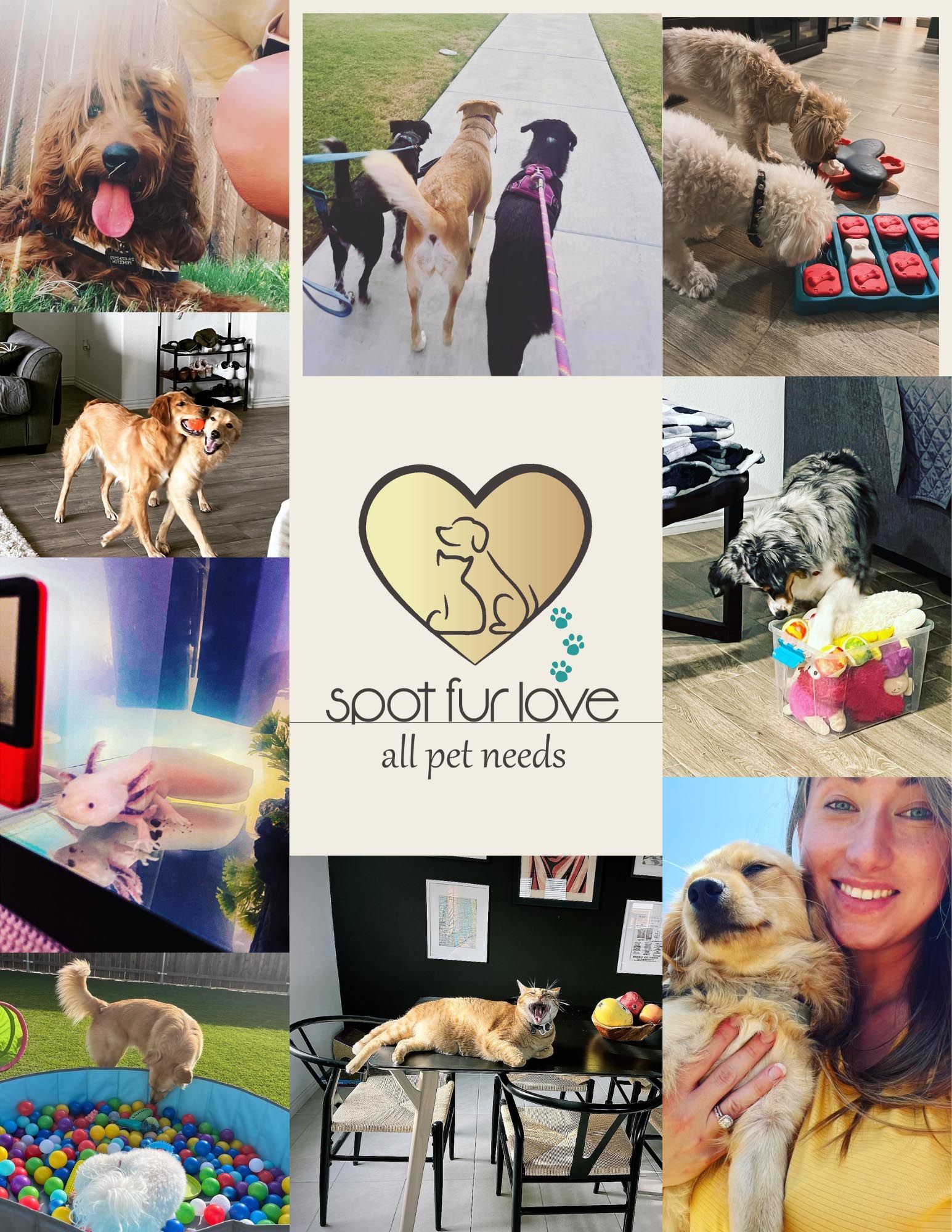 Collage: Dogs, logo (