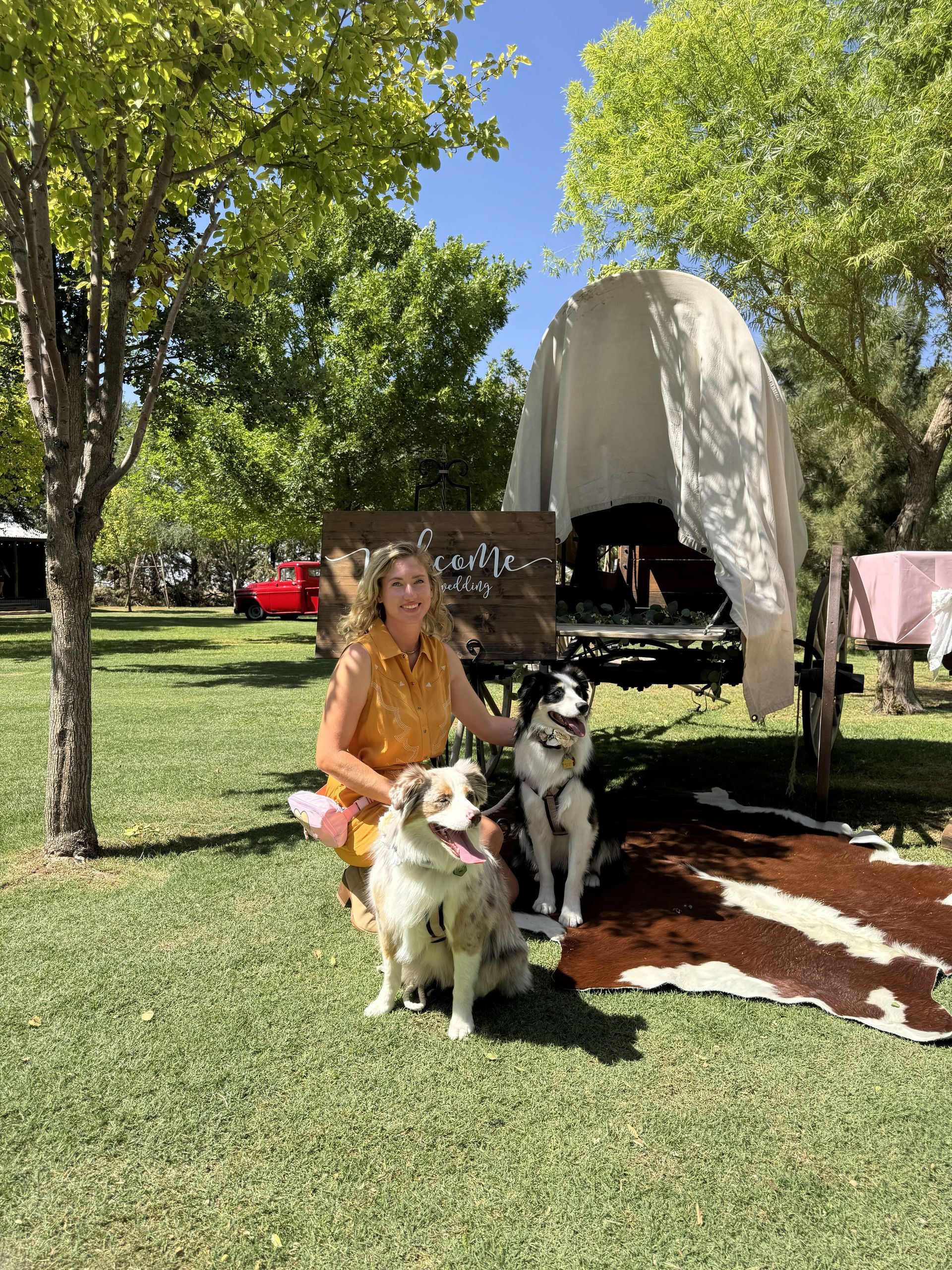 Woman with two dogs in a sunny park beside a white tent and trees