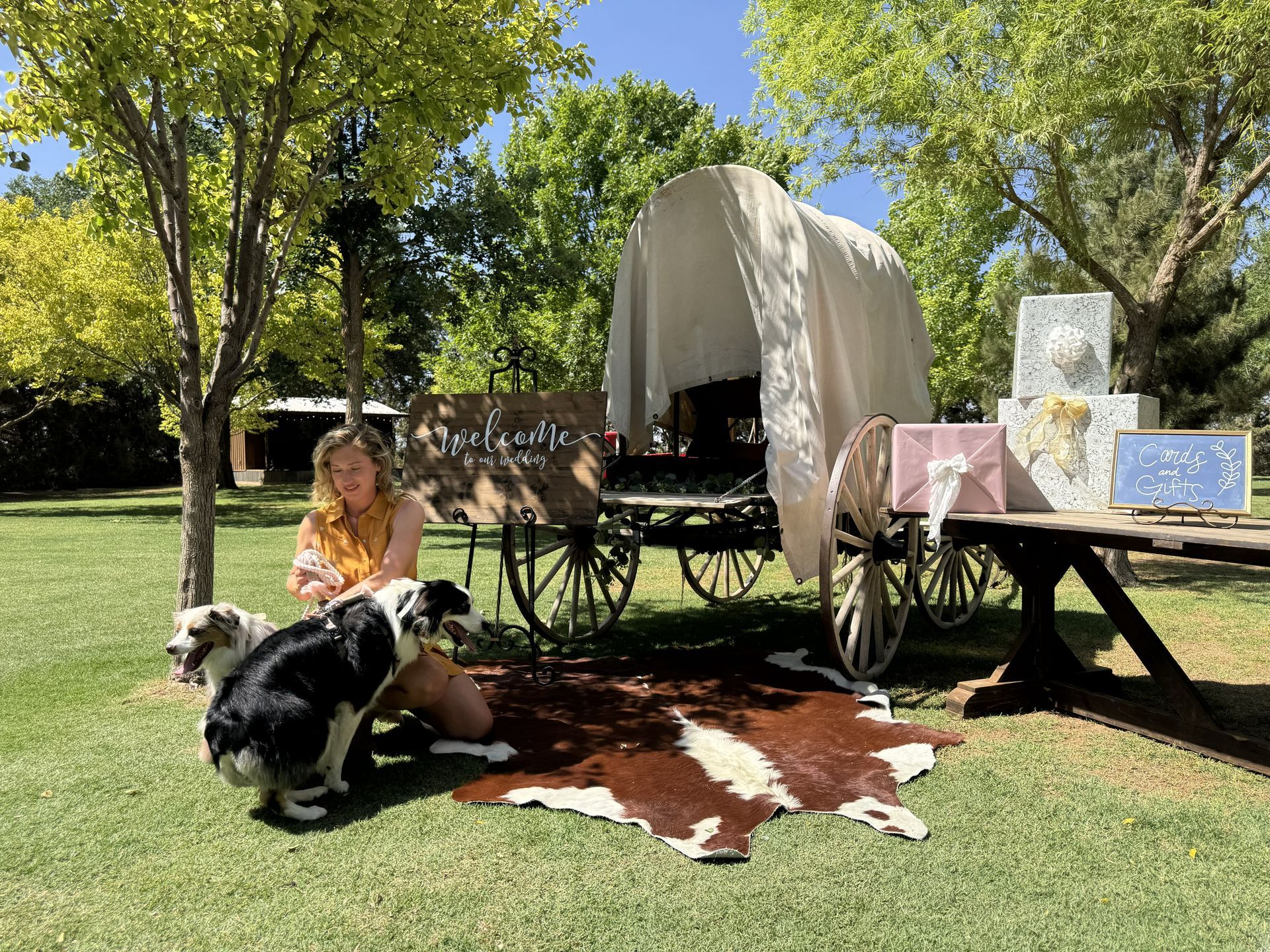 Woman sits by a horse-drawn covered wagon in a grassy park with a dog and cowhide rug.