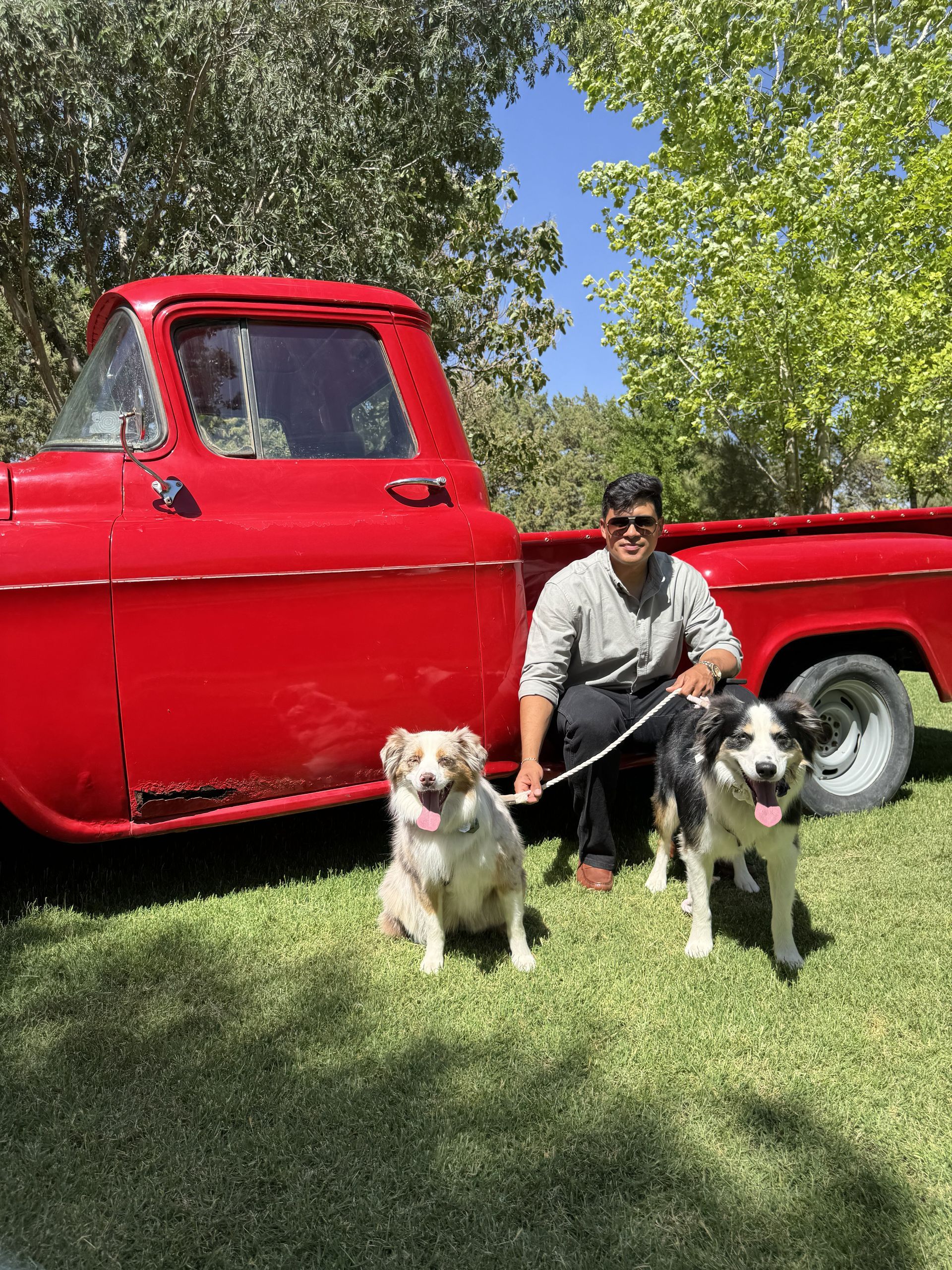 Man kneels with two dogs beside a bright red vintage truck in a sunny grassy yard