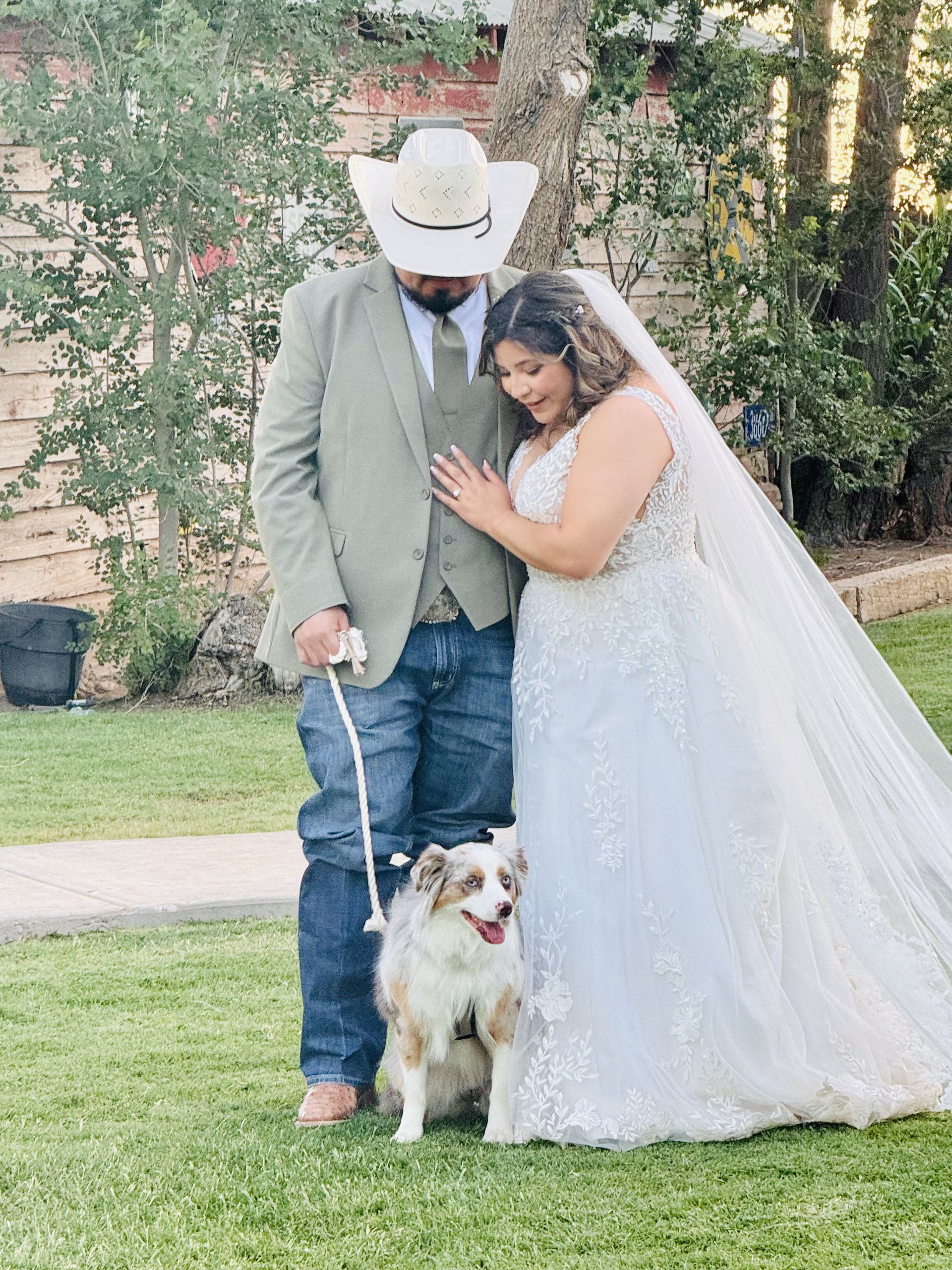 Man in suit holding three dressed-up small dogs outdoors.