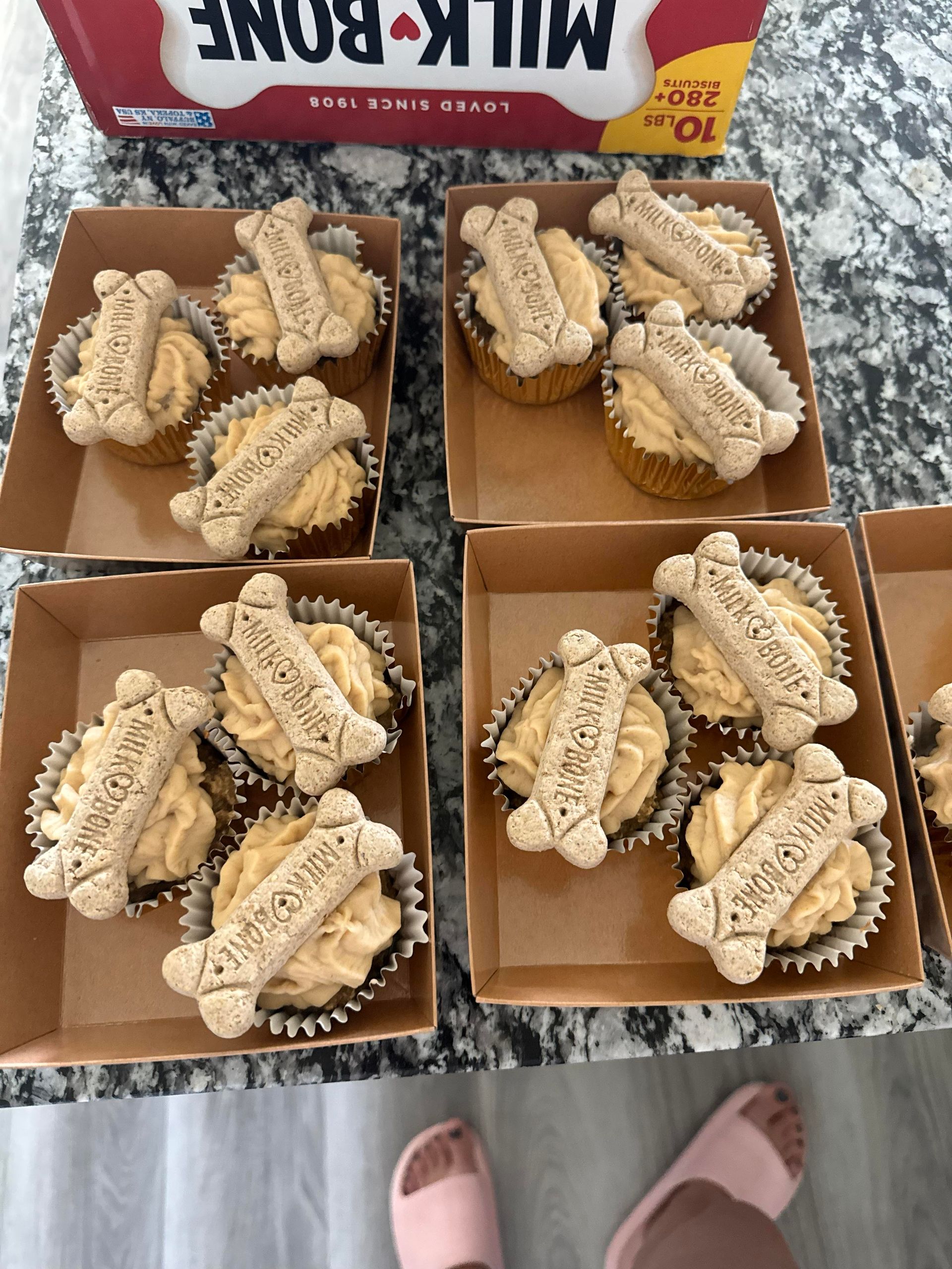 Dog cupcakes in cardboard containers, topped with peanut butter frosting and Milk-Bone biscuit.