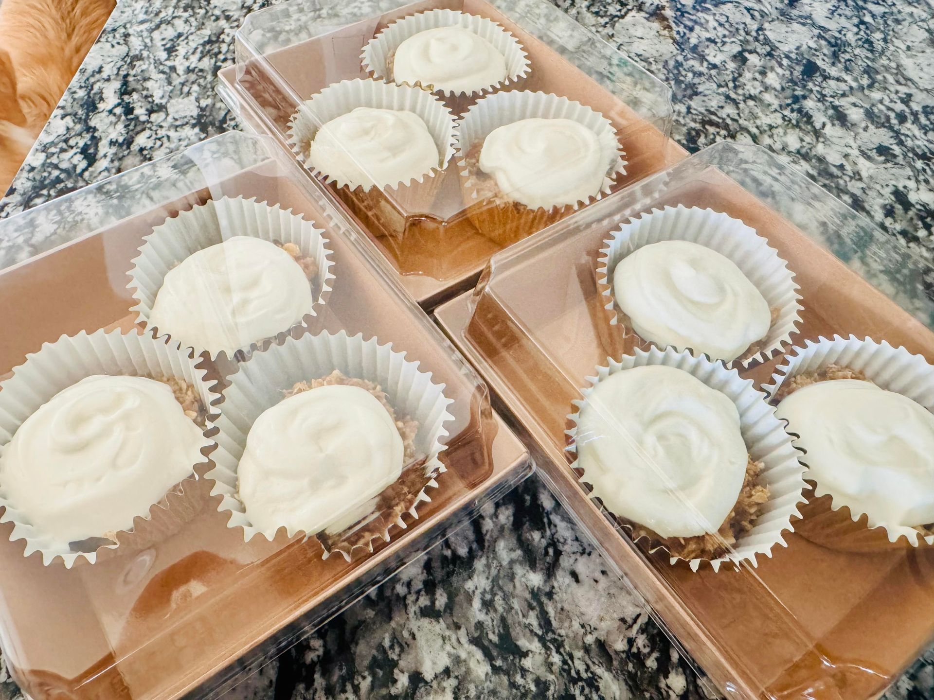 Mini cheesecakes in clear plastic containers with white frosting and graham cracker crusts.