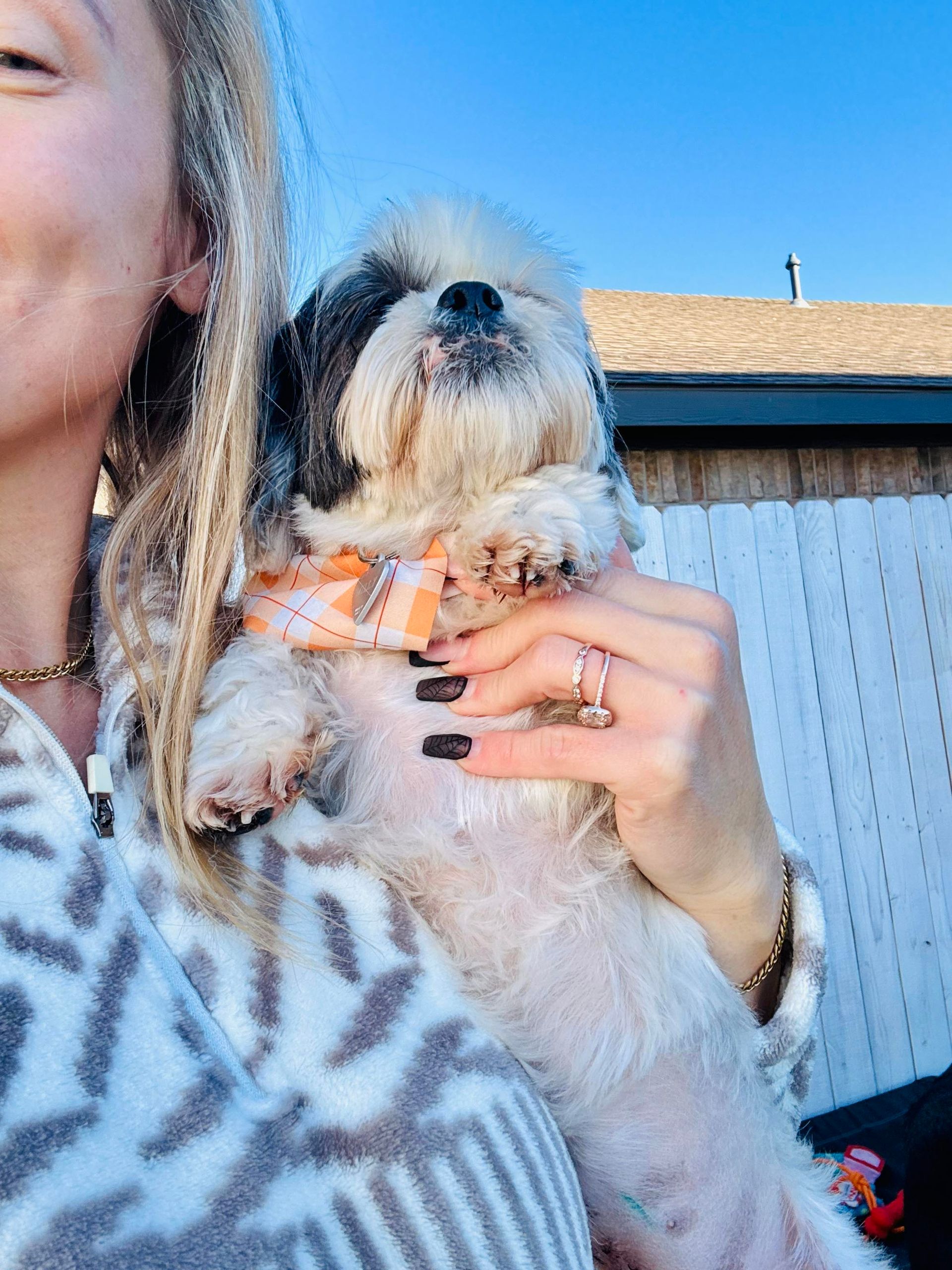 Woman holding a small, fluffy Shih Tzu dog outdoors on a sunny day. Dog has an orange collar.