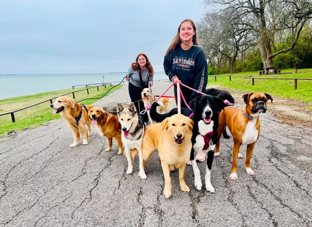 Two people walking nine dogs on a paved path near a body of water.